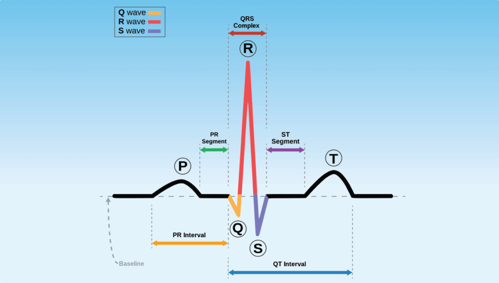 interpreting ECG values