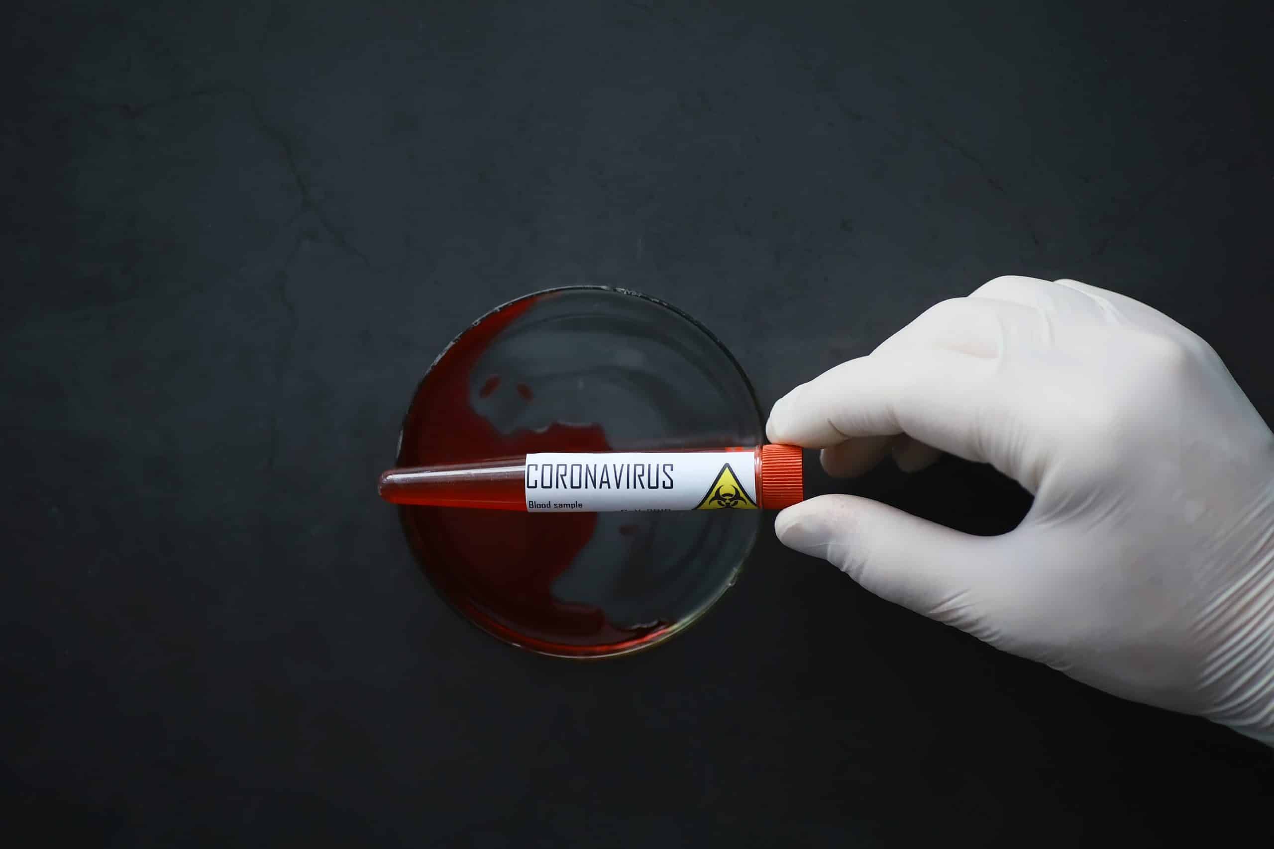 New Blood Thinner Derived from Insect Saliva Offers Safer Alternative to Heparin medtigo