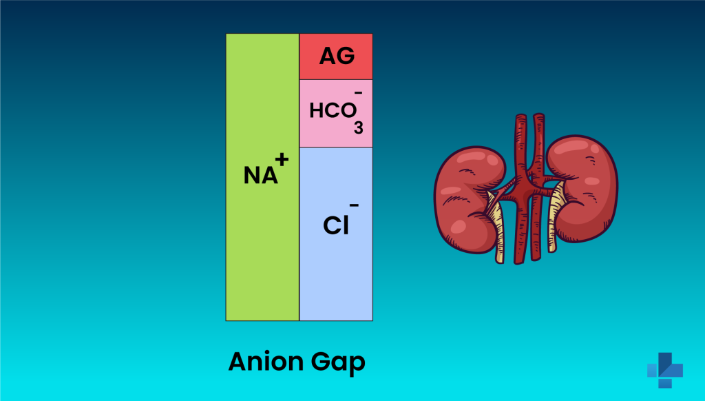 How to calculate anion gap