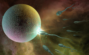 Ethical Concerns Arise as Scientists Make Progress in Creating Babies from Non-Traditional Sources