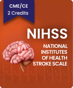 National Institutes of Health Stroke Scale