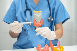 MBX Biosciences’ Canvuparatide Shows Strong and Durable Response in Hypoparathyroidism Patients