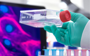 Stem Cell Therapy Shows New Promise in Tackling Lung Diseases, But Challenges Remain