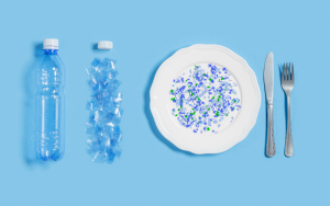 Microplastics and Nanoplastics: Hidden Triggers for Cardiovascular Disease