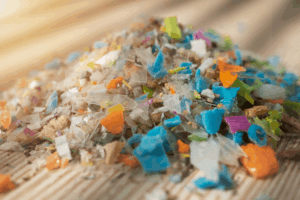 Microplastics and Misinformation: What Science Really Says